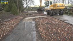 Frühlingsblüte im NaturaGart-Park