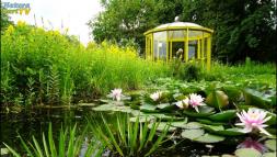 NaturaGart Nachrichten 13. Juni 2018