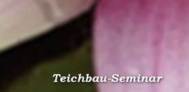 Teichbauseminar