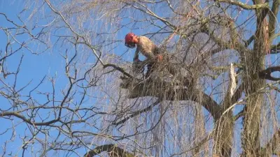 NaturaGart Nachrichten 08.03.2013