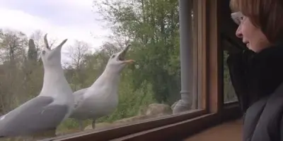 NaturaGart Nachrichten 03.05.2013