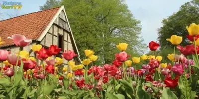 NaturaGart Nachrichten 28.05.2013