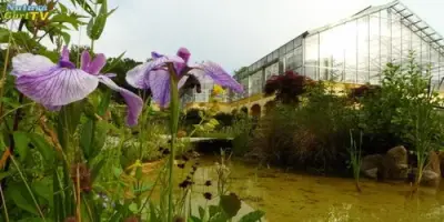 NaturaGart Nachrichten 29.07.2013