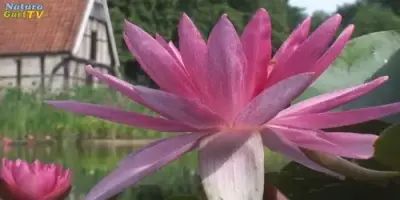 NaturaGart Nachrichten 21.08.2013