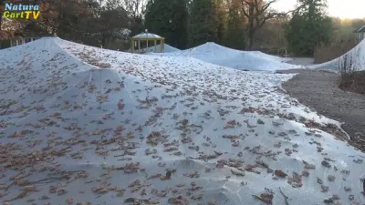 Laubschutz für Teiche