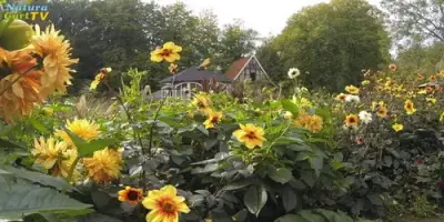 NaturaGart Nachrichten 24.10.2013