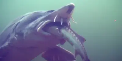 NaturaGart Nachrichten 27.11.2013