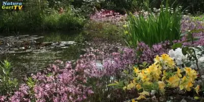 NaturaGart Nachrichten 21.05.2014