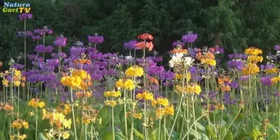 NaturaGart Nachrichten 18.06.2014