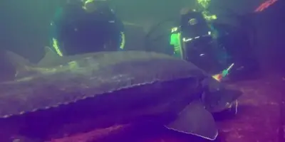 NaturaGart Nachrichten 24.09.2014