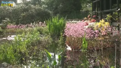 NaturaGart Nachrichten 25.03.2015