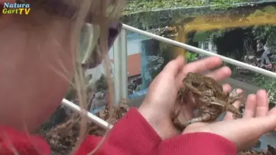 NaturaGart Nachrichten 01.06.2015