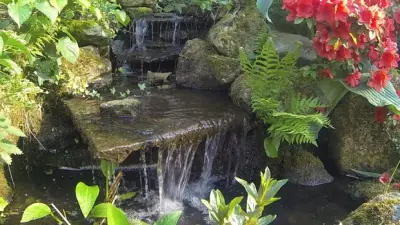 Füllwasser für Teiche