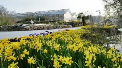 Frühlingsblüte bei NaturaGart