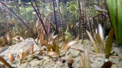 Sichtweiten unter Wasser