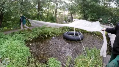 Laubschutz in 15 Minuten