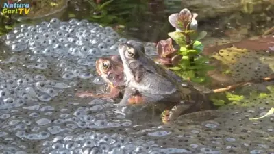 NaturaGart Nachrichten 6.4.2016