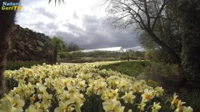 NaturaGart Nachrichten 4.5.2016