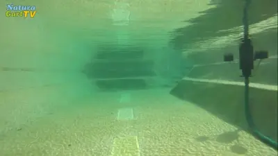 Sicherheit im Teich-Umfeld