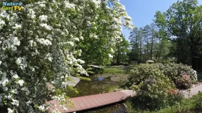 Kurz-Info Naturteiche