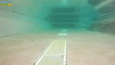 Kurz-Info Schwimmteiche