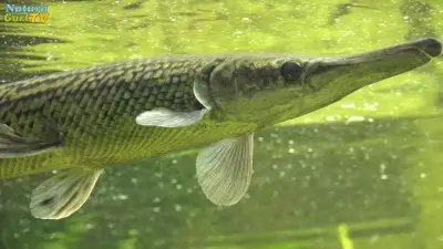 NaturaGart Nachrichten 15.3.2017