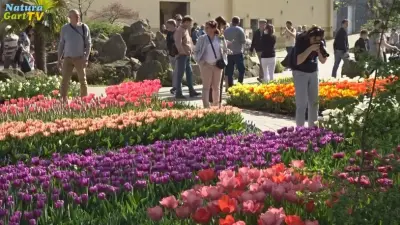 NaturaGart-Nachrichten 12.4.2017