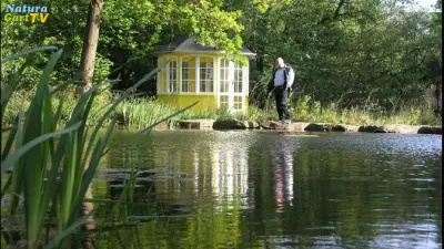 So senken Sie die Kosten für Bau und Unterhaltung von Teichen
