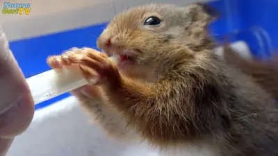 NaturaGart Nachrichten 10.5.2017