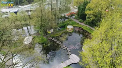 Wasserqualität in Teichen 2017