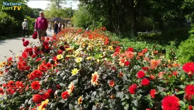 NaturaGart Nachrichten 6.9.2017