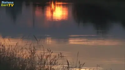 Abendbuffet im NaturaGart-Park