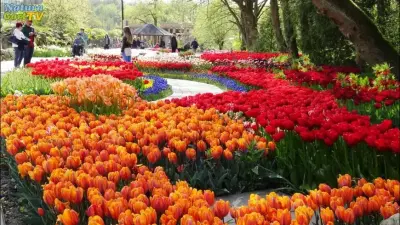 NaturaGart - Das war 2017