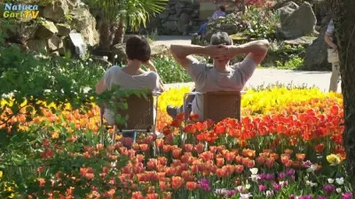 Frühlingsblüte im NaturaGart-Park 2018