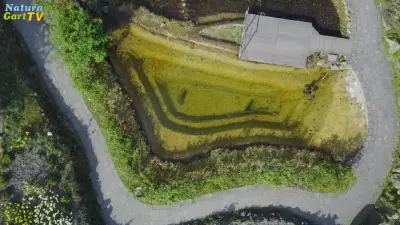 Teichwasser analysieren und steuern