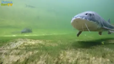 NaturaGart Nachrichten 23.5.2018