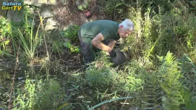 Teich-Sanierung im Herbst