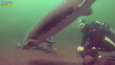 NaturaGart Nachrichten 3.12.2018