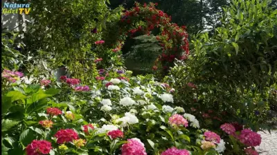 NaturaGart - Das war 2018