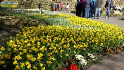 NaturaGart Nachrichten 10.4.2019