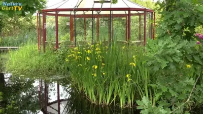 NaturaGart Nachrichten 29.5.2019