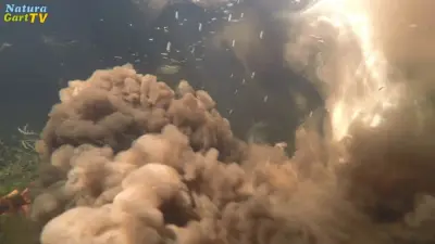 Schlamm am Grund des Teiches