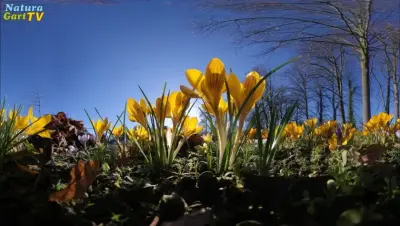 NaturaGart Nachrichten 21.02.2020