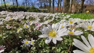 NaturaGart Nachrichten 25.3.2020