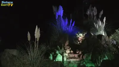 Naturnah wohnen - Licht im Garten