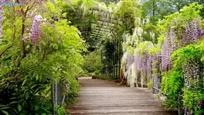 NaturaGart 2020 Jahresrückblick