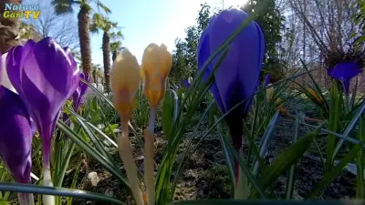 NaturaGart Nachrichten 11.8.2021