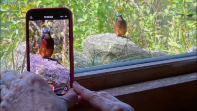 NaturaGart Nachrichten 20.9.2021