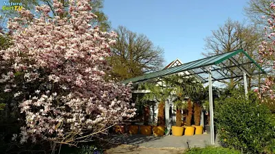 NaturaGart Nachrichten 3.4.2022