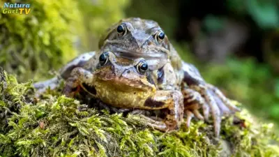 NaturaGart Nachrichten 15.3.2023